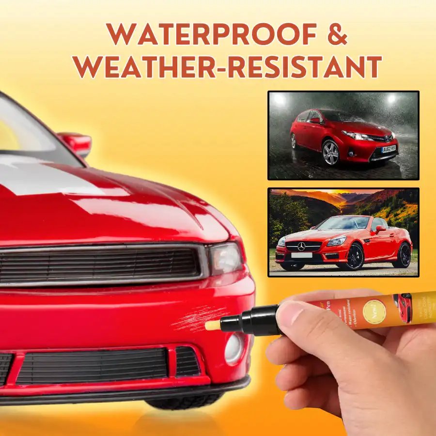/68c562548915cd00097d5347/2025/09/13/product-img-68c566f5ad549ec729583f91.webp